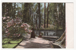 Magnolia Gardens Walk Charleston South Carolina 1905c postcard - £5.14 GBP