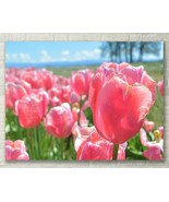 Pink Tulip Field, Abstract Floral Art - Fine Art Photo on Metal, Canvas ... - €27,13 EUR+
