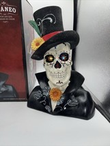 Skull with Color Changing LED lights Halloween Day of the Dead - £35.28 GBP