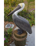 Pelican Standing Proud - €301,31 EUR