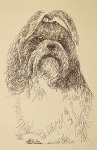 Shih Tzu Signed Dog Art Print #49 Kline adds your dogs name free. WORD D... - £39.05 GBP