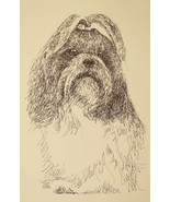Shih Tzu Signed Dog Art Print #49 Kline adds your dogs name free. WORD D... - £39.92 GBP
