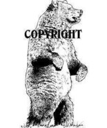 STANDING BEAR new mounted rubber stamp NEW RELEASE! - €7,05 EUR