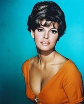 Raquel Welch busty glamour pose in red dress 1960&#39;s era 8x10 inch photo - £8.45 GBP