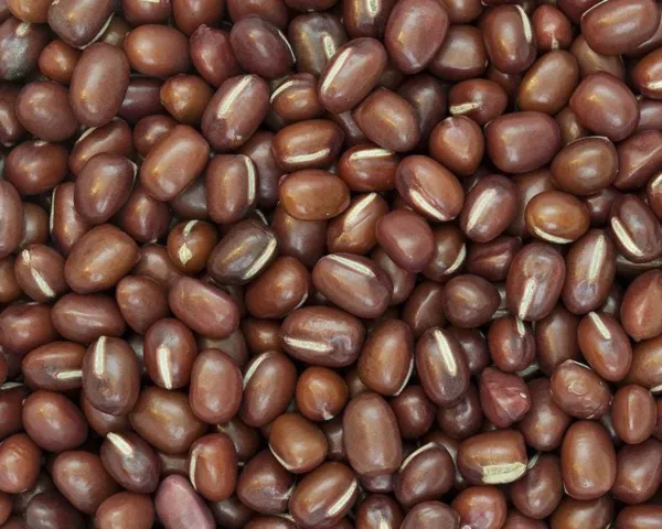 50 Adzuki Bean Aduki Red Bean Maroon Phaseolus Angularis Legume Vegetabl... - £6.32 GBP