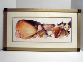  Barbara Groenteman Signed/Numbered Giglee Print Framed Sea Shells  - £24.26 GBP