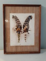 Vintage 70s African Made Butterfly Wing Art Parrots 13&quot;x18&quot; Frame - $34.53