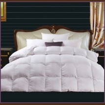 Queen White Jacquard Weave Silk Quilted White Duck Down Duvet Comforter 