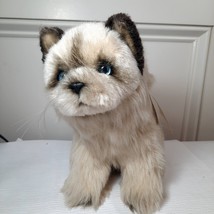 Vintage Avanti Plush Himalayan kitten Cat grey Stuffed Animal lifelike w... - $41.00