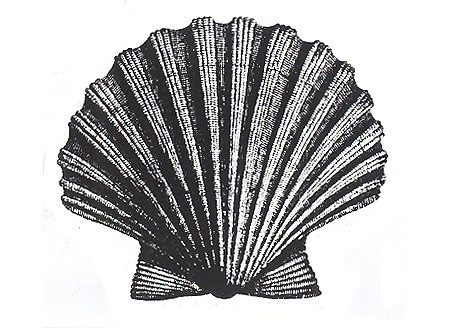 Unmounted Rubber Stamp: Seashell #14 - Scallop Shell #2 - $3.00