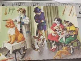 Alfred Mainzer Anthropomorphic Cat Postcard Grooming Choir  #4959 Rare - £27.93 GBP