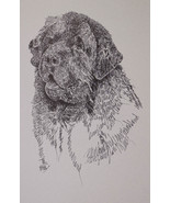 Newfoundland Dog Art Lithograph #34 Kline will draw your dogs name free.... - $49.95