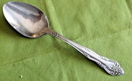 Stanley Roberts Rogers Co Dream Rose Soup Spoon  7&quot; Korea 10 Flowers  - £4.57 GBP