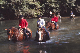 The Beatles George John &amp; Paul on Horseback in River 24x18 Poster - £19.22 GBP