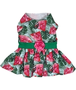 Juicy Watermelon Print Dress with Green Waist &amp; Rosette Trim Plus Leash ... - $324.87 MXN