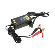 Firepower 12V / 2 Amp Battery Charger Lithium-Ion LiFePO4 HBC-LF0201 490-9950 - £54.89 GBP