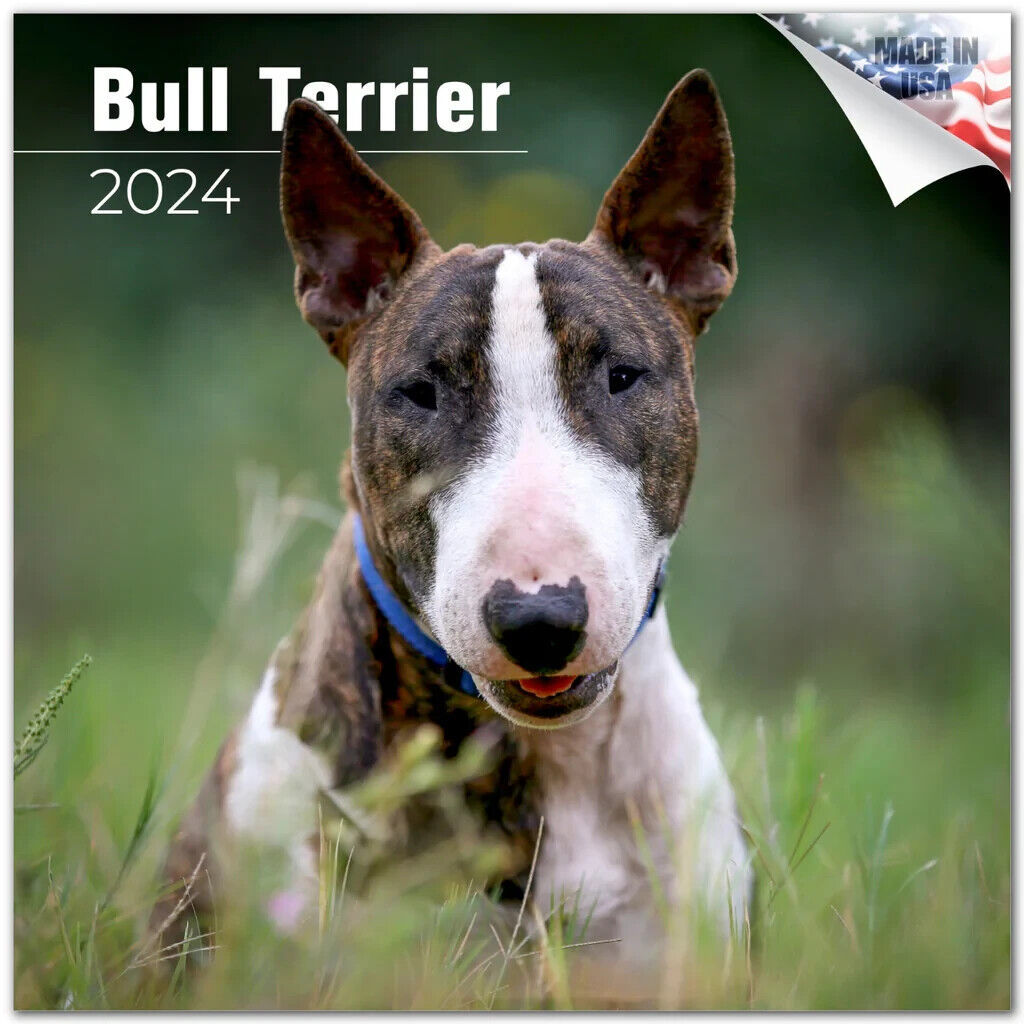 Primary image for BULL Terrier Wall Calendar 2024 Animal DOG PET Lover Gift