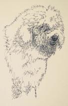 Old English Sheepdog Dog Art Lithograph #41 Kline draws your dogs name free GIFT - £39.92 GBP