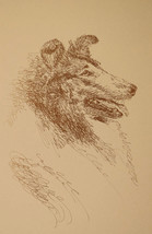 Collie Dog Art Print #42 Stephen Kline Will Add Your Dogs Name Free. Great Gift - £39.92 GBP