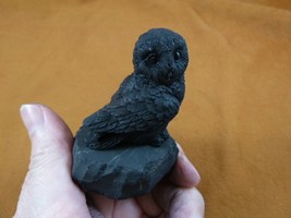 SH-OWL-1) black night sky Owl figurine Shungite stone hand carving owls owlet - £21.25 GBP