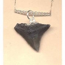 SHARK TOOTH FOSSIL PENDANT NECKLACE AMULET-Charm Funky Jewelry - £3.88 GBP