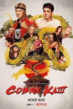 Cobra Kai Poster Season 4 TV Series Art Print Size 14x21&quot; 24x36&quot; 27x40&quot; 32x48&quot; - £8.69 GBP+