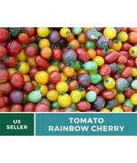 50 Tomato Rainbow Cherry Seeds Lycopersicon esculentum Indeterminate Plant - £12.39 GBP