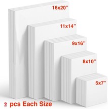 20 Pack Mixed Size Blank ARTIST CANVASES Stretched COTTON CANVAS Double ... - €22,79 EUR