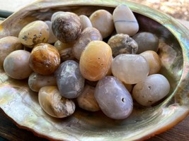 3X Opalized Petrified Wood Tumbled Stone 20mm Reiki Healing Crystal Eart... - $11.53 CAD