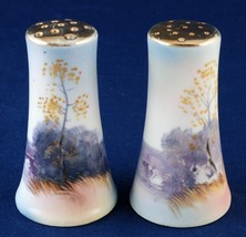 Salt &amp; Pepper Shakers Hand Painted Swan Landscape Water Japan Nippon - $9.00