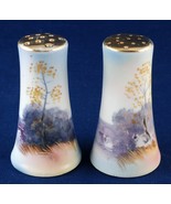 Salt &amp; Pepper Shakers Hand Painted Swan Landscape Water Japan Nippon - £7.18 GBP