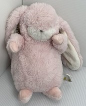 Bunnies By The Bay Tiny Nibble Plush Pink Bunny Rabbit Charlotte Name Embr - $9.49