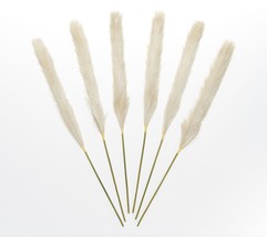Inspire Me! Home Decor Set of (6) 32&quot; Faux Pampas in Champagne - £155.06 GBP