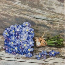 4pcs Decoupage Napkins, 33x33cm, Flowers Forget-me-nots, Bouquet of Blue... - £3.54 GBP