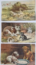 Lot of Three A. Hoefner Celebrated Chief Soap  vintage trade cards - £8.61 GBP