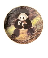 Last of Their Kind: The Endangered Species Plate The Panda by Will Nelso... - £12.37 GBP