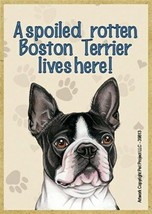 A spoiled rotten Boston Terrier lives here! Wood Fridge Magnet 2.5x3.5 Gift New - £4.67 GBP