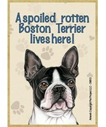 A spoiled rotten Boston Terrier lives here! Wood Fridge Magnet 2.5x3.5 G... - £4.59 GBP
