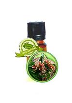 Clove Leaf Essential Oil - Syzygium aromaticum - 5ml (1/6oz) - $14.69