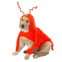 Clawsome crustacean Lobster Costume - £20.90 GBP