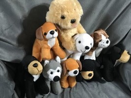 Puppy Dog Lot Of Mixed Puppies Babies Plush Animals Brown Black Tan White B35 - $72.73