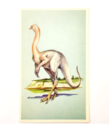 1975 STRUTHIOMIMUS Dinosaur Card Vintage Prehistoric Illustration Epheme... - $363.77 MXN