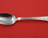 Lap Over Edge Acid Etched by Tiffany &amp; Co Sterling Serving Spoon marigol... - $503.91