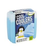 Fit &amp; Fresh Cool Coolers Ice Packs, Set of 4 - $20.01 CAD