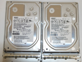 LOT OF 2 Sun Oracle 7010135 3TB 7.2K SAS HDD Hitachi HUS723030ALS640 W/TRAY - $55.12