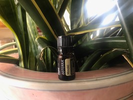 doTERRA Hinoki 5 mL Essential Oil  NEW &amp; SEALED Exp 06/28 - $22.00