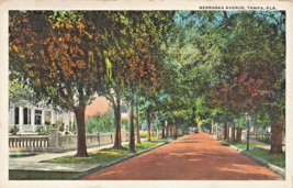 Tampa Florida~Nebraska AVENUE~1920s Antique Vintage Postcard - £8.13 GBP