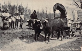Oregon Trail~Ezra Meeker Oxen Wagon Way Down In Old MISSOURI~1910 Postcard - £7.11 GBP