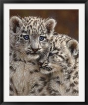 Snow Leopard Cubs Playmates Framed Fine Art Print by Collin Bogle - £382.82 GBP