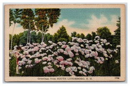 Generic Scenic Greetings Flowers in Garden South Lyndeboro NH LInen Postcard R27 - £3.07 GBP